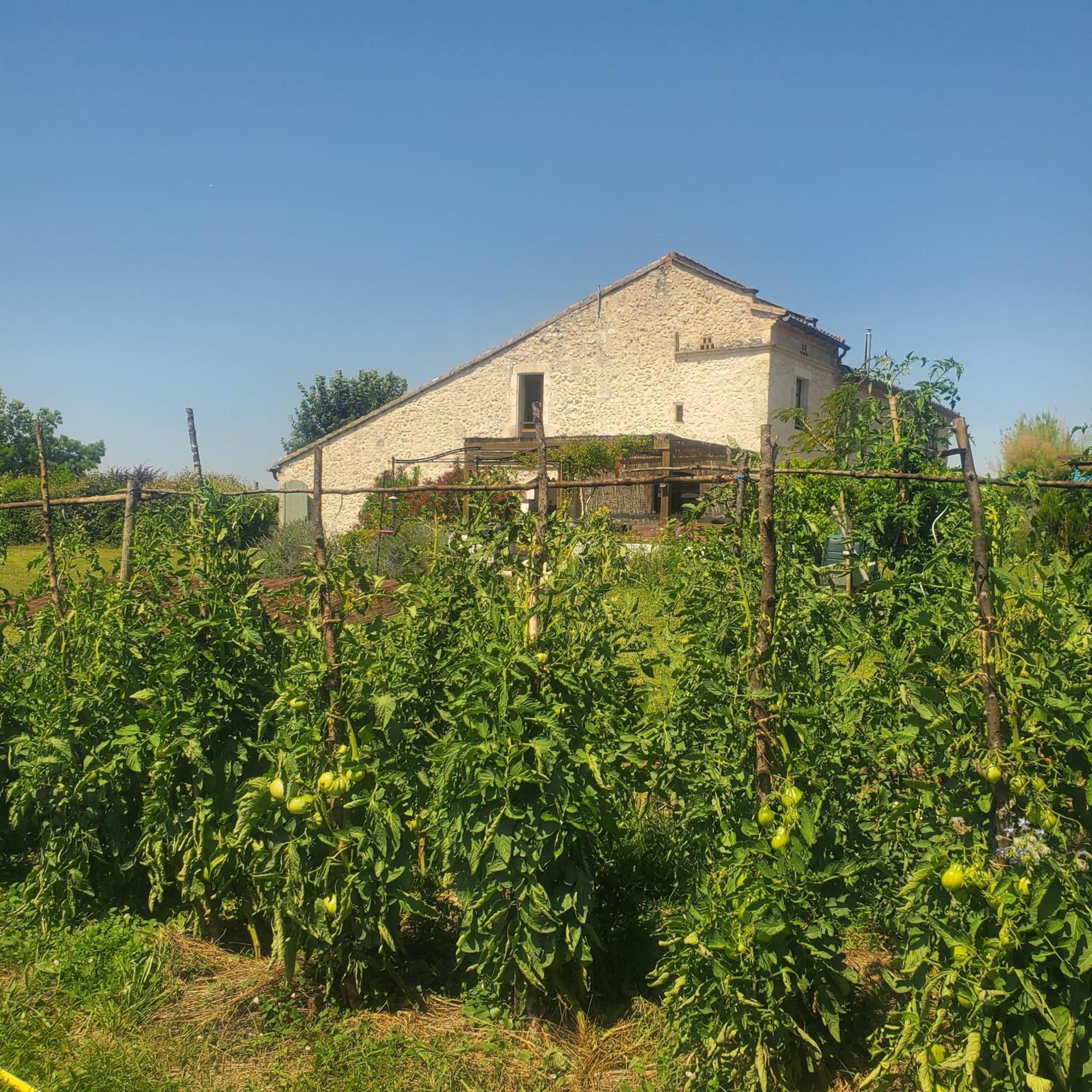Hotel Au Mas de Janita Cahuzac-sur-Vère Exterior foto